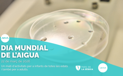 Celebrem el Dia Mundial de l’Aigua amb activitats obertes a la ciutadania