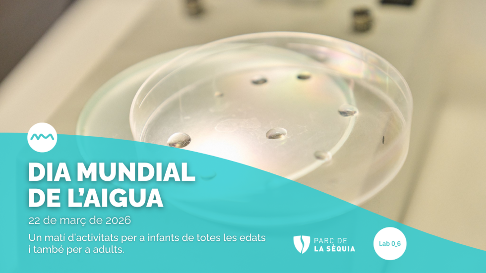 Celebrem el Dia Mundial de l’Aigua amb activitats obertes a la ciutadania